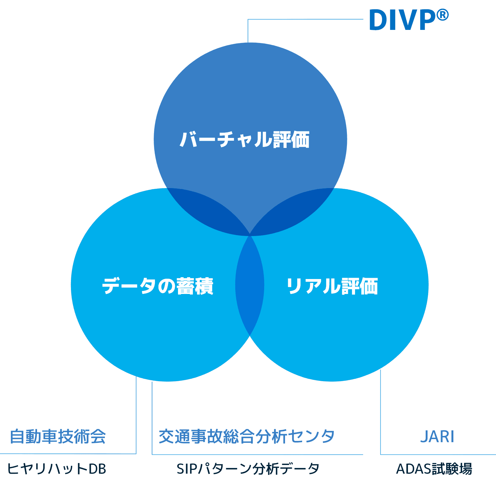 バーチャル評価 データの蓄積 リアル評価